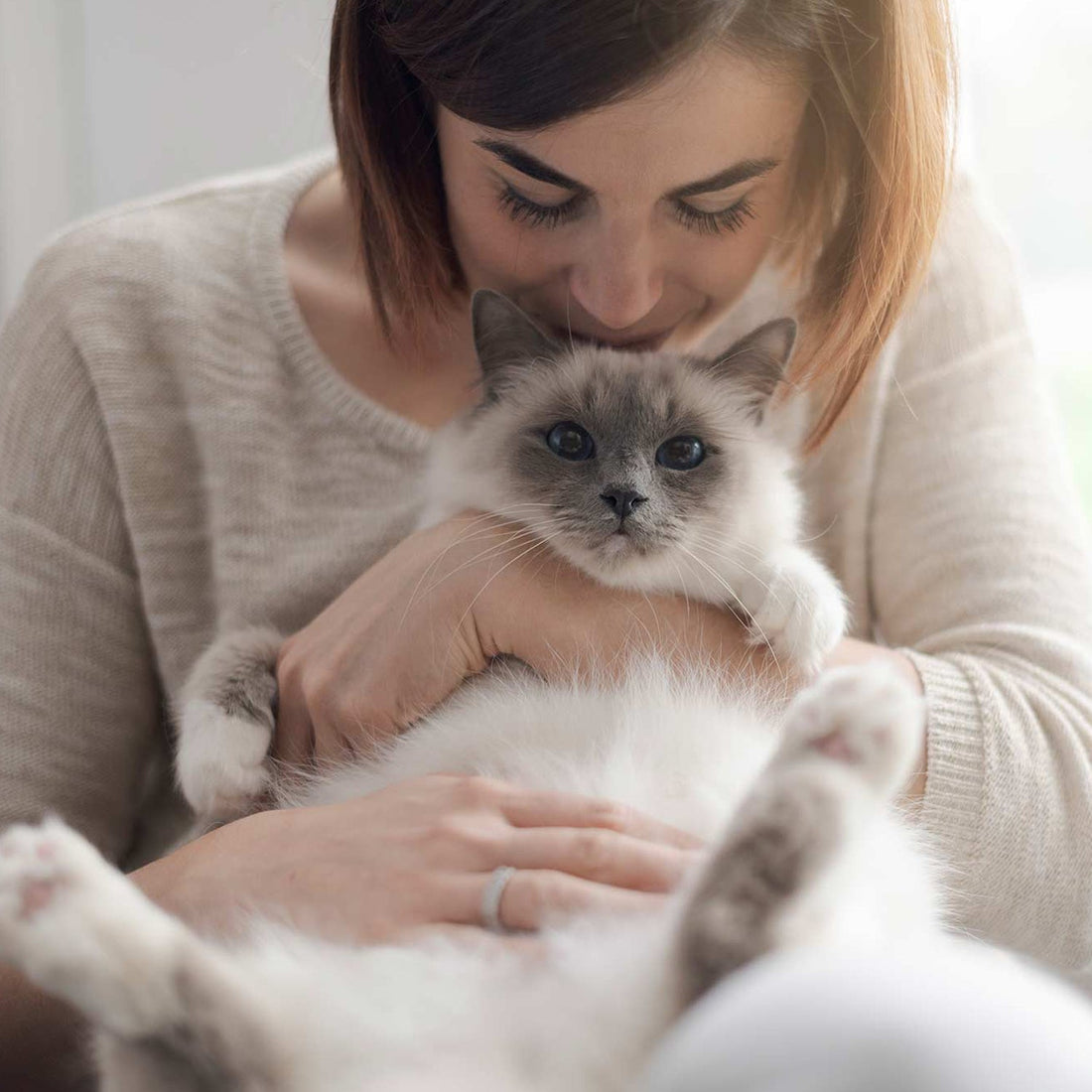 How to Reduce Litter Box Odor at Home